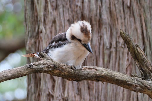 Přesné stanovení rozsahu škod: Klíč k efektivní sanaci budov