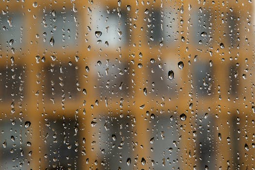 Ochrana staveb a zdraví: Strategie a metody boje s vlhkostí