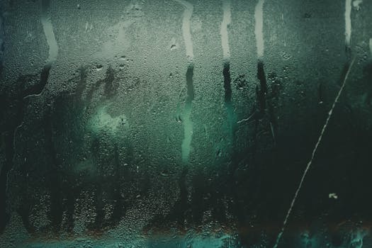 Vlhkost v budovách: Příčiny, důsledky a řešení